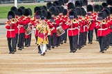 Trooping the Colour 2016.
Horse Guards Parade, Westminster,
London SW1A,
London,
United Kingdom,
on 11 June 2016 at 10:32, image #154