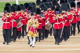 Trooping the Colour 2016.
Horse Guards Parade, Westminster,
London SW1A,
London,
United Kingdom,
on 11 June 2016 at 10:32, image #155