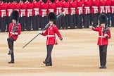 Trooping the Colour 2016.
Horse Guards Parade, Westminster,
London SW1A,
London,
United Kingdom,
on 11 June 2016 at 10:32, image #156