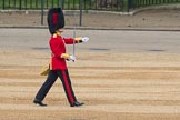 Trooping the Colour 2016.
Horse Guards Parade, Westminster,
London SW1A,
London,
United Kingdom,
on 11 June 2016 at 10:34, image #163