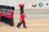 Trooping the Colour 2016.
Horse Guards Parade, Westminster,
London SW1A,
London,
United Kingdom,
on 11 June 2016 at 10:34, image #164