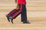 Trooping the Colour 2016.
Horse Guards Parade, Westminster,
London SW1A,
London,
United Kingdom,
on 11 June 2016 at 10:34, image #165