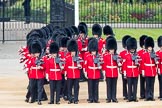 Trooping the Colour 2016.
Horse Guards Parade, Westminster,
London SW1A,
London,
United Kingdom,
on 11 June 2016 at 10:37, image #182