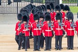 Trooping the Colour 2016.
Horse Guards Parade, Westminster,
London SW1A,
London,
United Kingdom,
on 11 June 2016 at 10:37, image #183