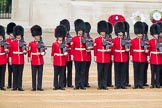 Trooping the Colour 2016.
Horse Guards Parade, Westminster,
London SW1A,
London,
United Kingdom,
on 11 June 2016 at 10:37, image #186