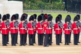 Trooping the Colour 2016.
Horse Guards Parade, Westminster,
London SW1A,
London,
United Kingdom,
on 11 June 2016 at 10:37, image #187