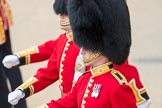 Trooping the Colour 2016.
Horse Guards Parade, Westminster,
London SW1A,
London,
United Kingdom,
on 11 June 2016 at 10:38, image #189