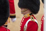 Trooping the Colour 2016.
Horse Guards Parade, Westminster,
London SW1A,
London,
United Kingdom,
on 11 June 2016 at 10:38, image #190