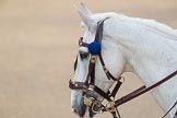 Trooping the Colour 2016.
Horse Guards Parade, Westminster,
London SW1A,
London,
United Kingdom,
on 11 June 2016 at 10:39, image #193