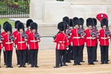 Trooping the Colour 2016.
Horse Guards Parade, Westminster,
London SW1A,
London,
United Kingdom,
on 11 June 2016 at 10:39, image #194