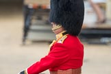 Trooping the Colour 2016.
Horse Guards Parade, Westminster,
London SW1A,
London,
United Kingdom,
on 11 June 2016 at 10:40, image #196