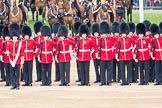 Trooping the Colour 2016.
Horse Guards Parade, Westminster,
London SW1A,
London,
United Kingdom,
on 11 June 2016 at 10:43, image #208
