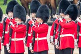 Trooping the Colour 2016.
Horse Guards Parade, Westminster,
London SW1A,
London,
United Kingdom,
on 11 June 2016 at 10:43, image #211