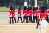 Trooping the Colour 2016.
Horse Guards Parade, Westminster,
London SW1A,
London,
United Kingdom,
on 11 June 2016 at 10:44, image #215