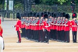 Trooping the Colour 2016.
Horse Guards Parade, Westminster,
London SW1A,
London,
United Kingdom,
on 11 June 2016 at 10:44, image #218