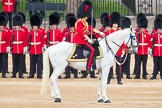 Trooping the Colour 2016.
Horse Guards Parade, Westminster,
London SW1A,
London,
United Kingdom,
on 11 June 2016 at 10:45, image #219