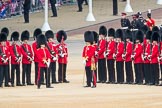 Trooping the Colour 2016.
Horse Guards Parade, Westminster,
London SW1A,
London,
United Kingdom,
on 11 June 2016 at 10:47, image #226