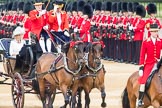 Trooping the Colour 2016.
Horse Guards Parade, Westminster,
London SW1A,
London,
United Kingdom,
on 11 June 2016 at 10:52, image #250