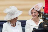 Trooping the Colour 2016.
Horse Guards Parade, Westminster,
London SW1A,
London,
United Kingdom,
on 11 June 2016 at 10:52, image #255