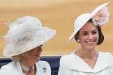 Trooping the Colour 2016.
Horse Guards Parade, Westminster,
London SW1A,
London,
United Kingdom,
on 11 June 2016 at 10:52, image #258