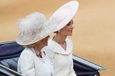 Trooping the Colour 2016.
Horse Guards Parade, Westminster,
London SW1A,
London,
United Kingdom,
on 11 June 2016 at 10:52, image #260