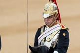 Trooping the Colour 2016.
Horse Guards Parade, Westminster,
London SW1A,
London,
United Kingdom,
on 11 June 2016 at 10:57, image #298