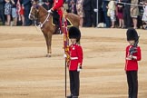 Trooping the Colour 2016.
Horse Guards Parade, Westminster,
London SW1A,
London,
United Kingdom,
on 11 June 2016 at 10:58, image #310