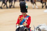 Trooping the Colour 2016.
Horse Guards Parade, Westminster,
London SW1A,
London,
United Kingdom,
on 11 June 2016 at 11:01, image #337
