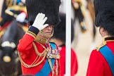 Trooping the Colour 2016.
Horse Guards Parade, Westminster,
London SW1A,
London,
United Kingdom,
on 11 June 2016 at 11:01, image #341