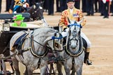 Trooping the Colour 2016.
Horse Guards Parade, Westminster,
London SW1A,
London,
United Kingdom,
on 11 June 2016 at 11:06, image #404