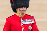 Trooping the Colour 2016.
Horse Guards Parade, Westminster,
London SW1A,
London,
United Kingdom,
on 11 June 2016 at 11:07, image #421