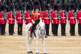Trooping the Colour 2016.
Horse Guards Parade, Westminster,
London SW1A,
London,
United Kingdom,
on 11 June 2016 at 11:30, image #587
