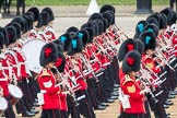 Trooping the Colour 2016.
Horse Guards Parade, Westminster,
London SW1A,
London,
United Kingdom,
on 11 June 2016 at 11:33, image #614