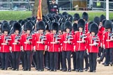 Trooping the Colour 2016.
Horse Guards Parade, Westminster,
London SW1A,
London,
United Kingdom,
on 11 June 2016 at 11:33, image #616