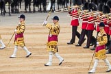 Trooping the Colour 2016.
Horse Guards Parade, Westminster,
London SW1A,
London,
United Kingdom,
on 11 June 2016 at 11:35, image #622