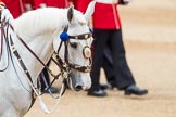 Trooping the Colour 2016.
Horse Guards Parade, Westminster,
London SW1A,
London,
United Kingdom,
on 11 June 2016 at 11:35, image #630