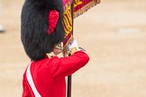 Trooping the Colour 2016.
Horse Guards Parade, Westminster,
London SW1A,
London,
United Kingdom,
on 11 June 2016 at 11:37, image #646