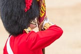 Trooping the Colour 2016.
Horse Guards Parade, Westminster,
London SW1A,
London,
United Kingdom,
on 11 June 2016 at 11:37, image #647