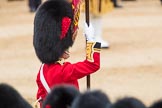 Trooping the Colour 2016.
Horse Guards Parade, Westminster,
London SW1A,
London,
United Kingdom,
on 11 June 2016 at 11:37, image #648