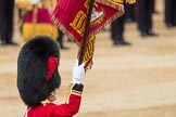 Trooping the Colour 2016.
Horse Guards Parade, Westminster,
London SW1A,
London,
United Kingdom,
on 11 June 2016 at 11:37, image #649