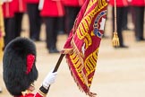 Trooping the Colour 2016.
Horse Guards Parade, Westminster,
London SW1A,
London,
United Kingdom,
on 11 June 2016 at 11:37, image #650