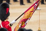 Trooping the Colour 2016.
Horse Guards Parade, Westminster,
London SW1A,
London,
United Kingdom,
on 11 June 2016 at 11:37, image #651