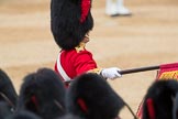 Trooping the Colour 2016.
Horse Guards Parade, Westminster,
London SW1A,
London,
United Kingdom,
on 11 June 2016 at 11:37, image #652