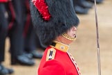 Trooping the Colour 2016.
Horse Guards Parade, Westminster,
London SW1A,
London,
United Kingdom,
on 11 June 2016 at 11:38, image #654