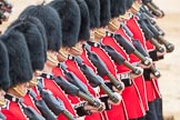 Trooping the Colour 2016.
Horse Guards Parade, Westminster,
London SW1A,
London,
United Kingdom,
on 11 June 2016 at 11:38, image #655