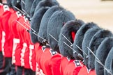 Trooping the Colour 2016.
Horse Guards Parade, Westminster,
London SW1A,
London,
United Kingdom,
on 11 June 2016 at 11:38, image #658