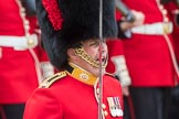 Trooping the Colour 2016.
Horse Guards Parade, Westminster,
London SW1A,
London,
United Kingdom,
on 11 June 2016 at 11:38, image #662