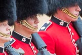 Trooping the Colour 2016.
Horse Guards Parade, Westminster,
London SW1A,
London,
United Kingdom,
on 11 June 2016 at 11:38, image #664