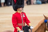 Trooping the Colour 2016.
Horse Guards Parade, Westminster,
London SW1A,
London,
United Kingdom,
on 11 June 2016 at 11:39, image #672