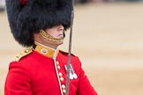 Trooping the Colour 2016.
Horse Guards Parade, Westminster,
London SW1A,
London,
United Kingdom,
on 11 June 2016 at 11:39, image #673